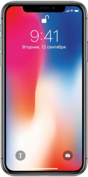 iPhone X